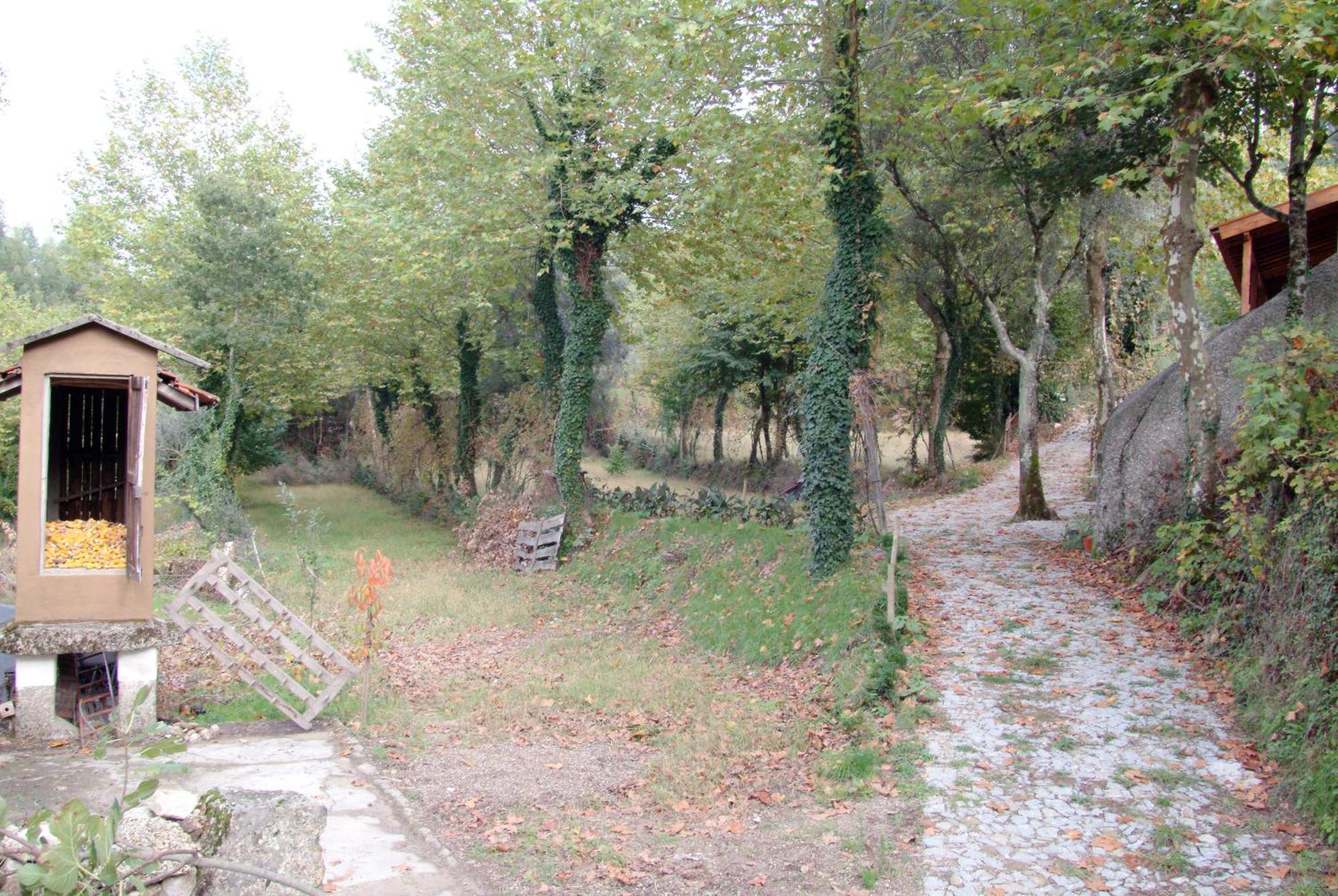 Quinta Da Veiga E Malhadoira Guest House Виейра до Миньо Екстериор снимка