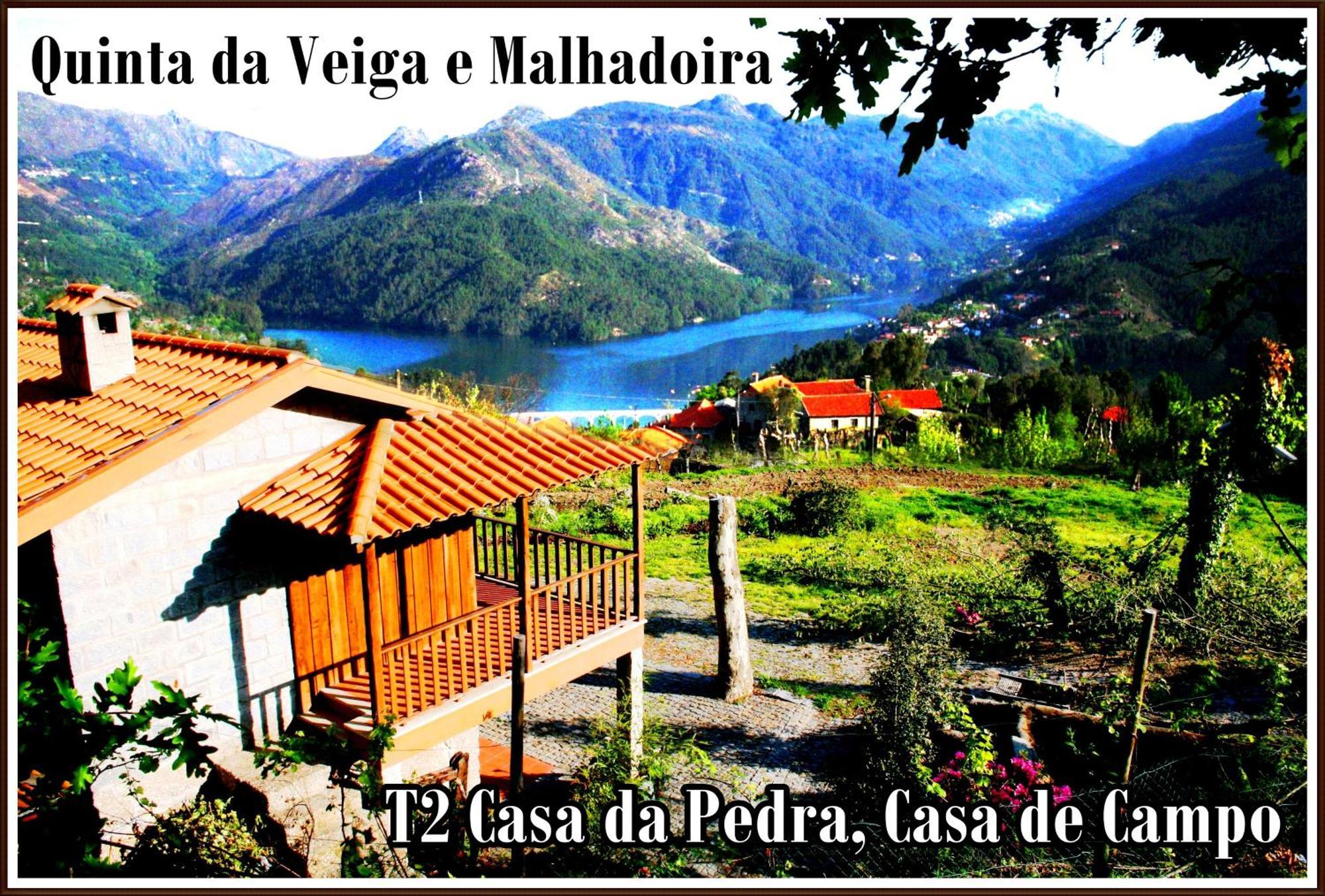 Quinta Da Veiga E Malhadoira Guest House Виейра до Миньо Екстериор снимка